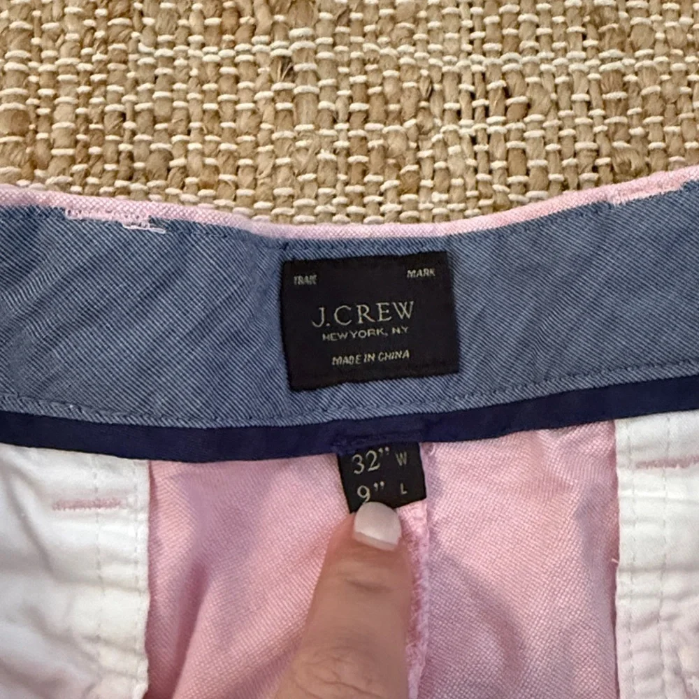 J. Crew Men's Pink Oxford Cotton Pink Shorts 9 in size 32